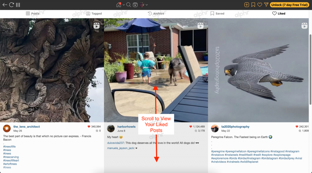 How to View Your Own Likes on Instagram