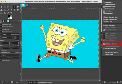 How to Make a Background Transparent in GIMP