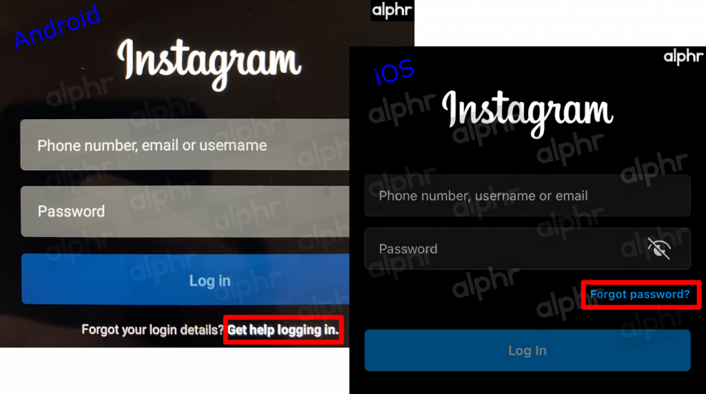 How to Reset Your Instagram Account
