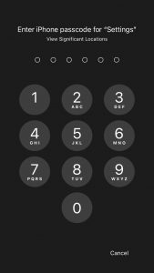 How to View My iPhone Location History