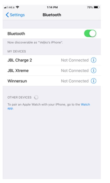 iPhone - Bluetooth Settings