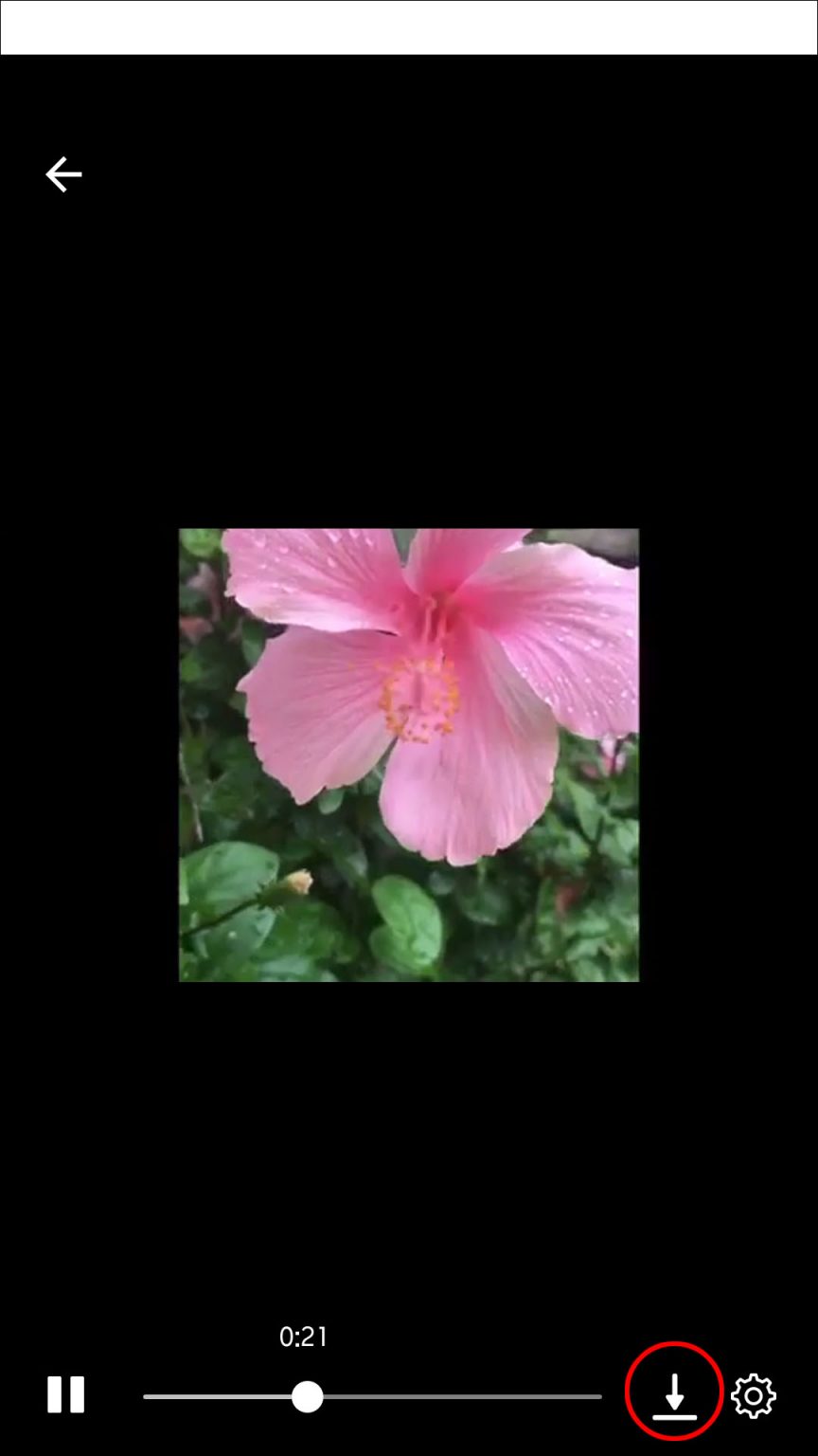 How to Send a Video in Facebook Messenger