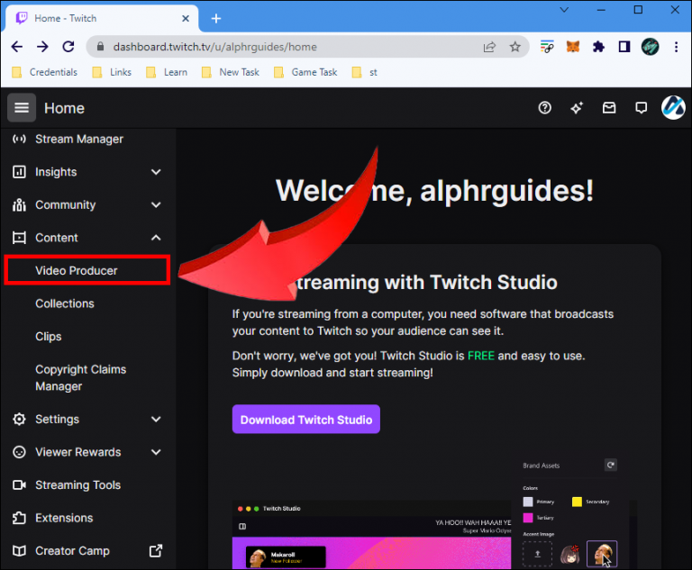 How To View Your Own Stream on Twitch