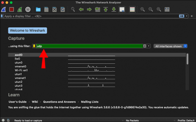 How To Capture Packets in WireShark