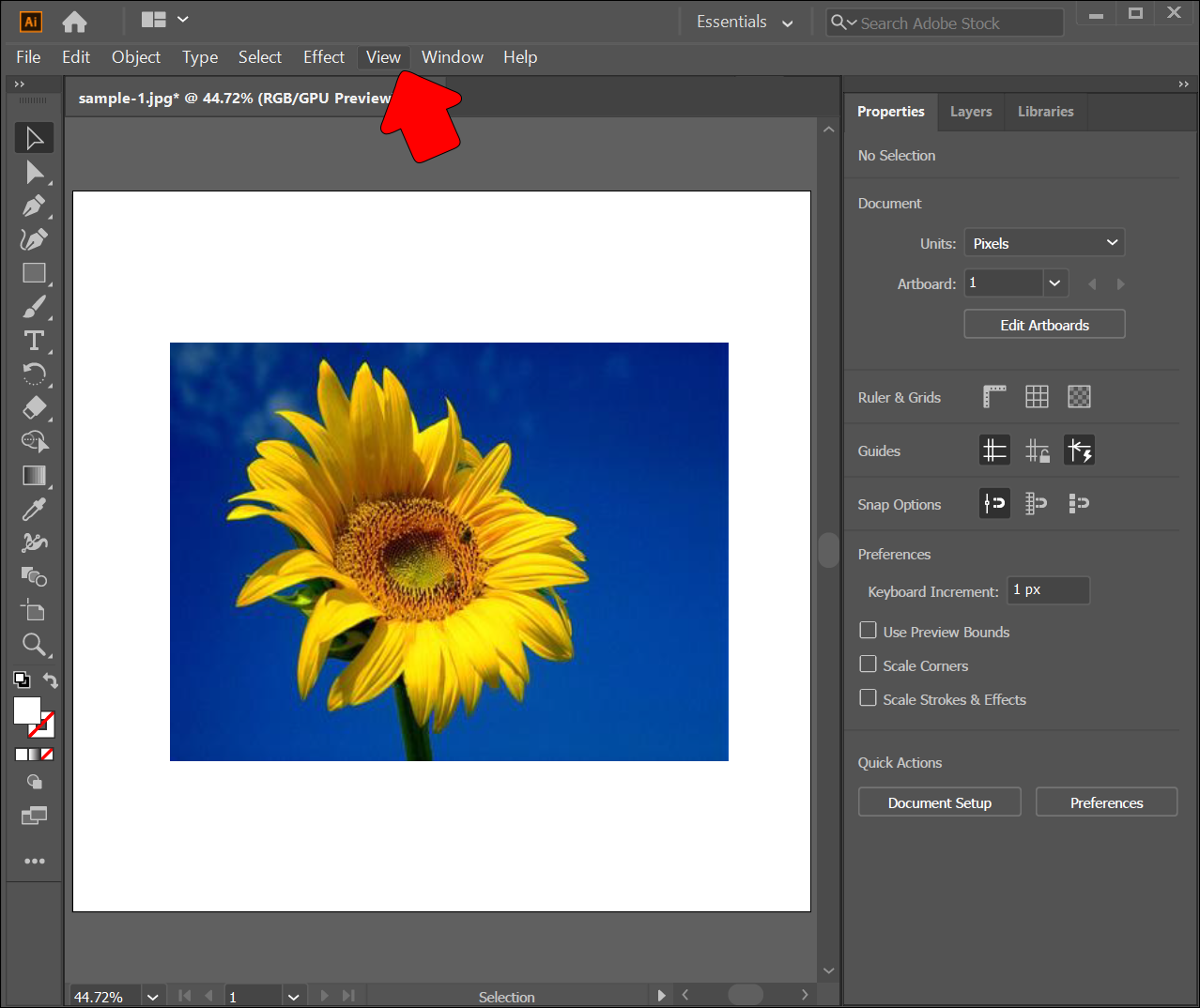 Art:How to get a transparent background using Photo Editor - YPPedia