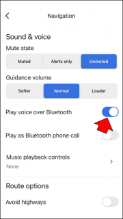How To Fix Google Maps Voice Not Working