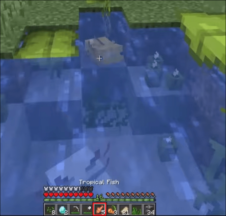 How To Breed Axolotl In Minecraft