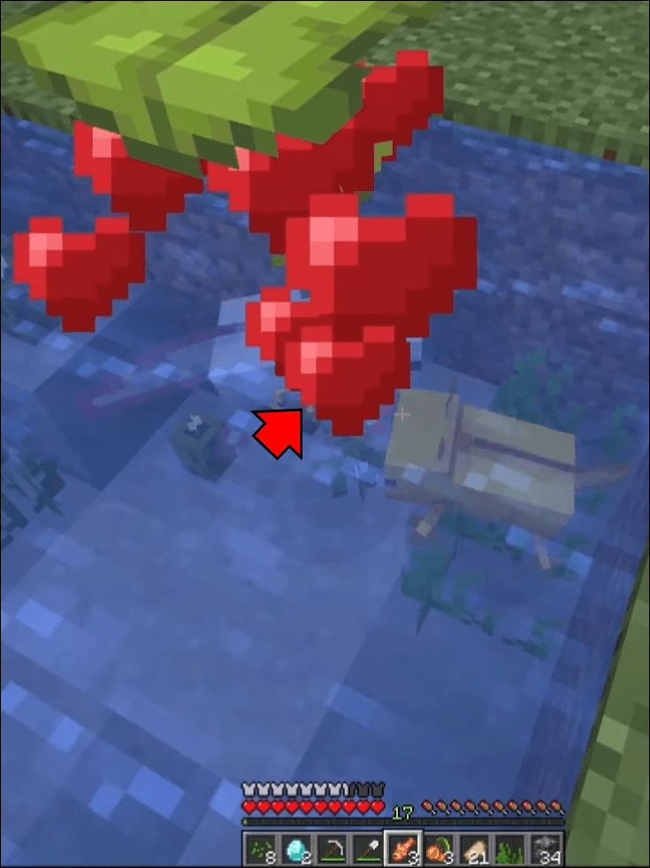 How To Breed Axolotl In Minecraft