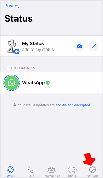 WhatsApp Profile Picture Not Showing - Reasons and Solutions