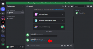 how to send hidden link discord