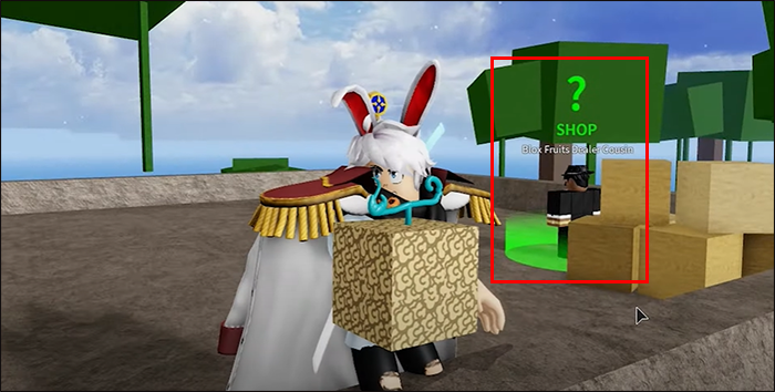 Roblox Blox Fruits Value List