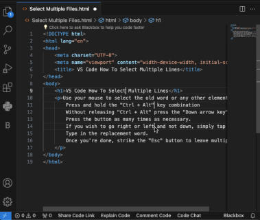 How to Select Multiple Lines in VS Code
