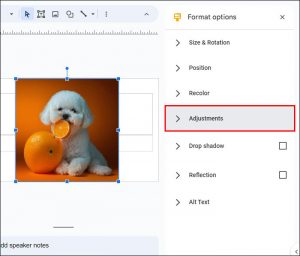 How To Remove the Background From an Image in Google Slides