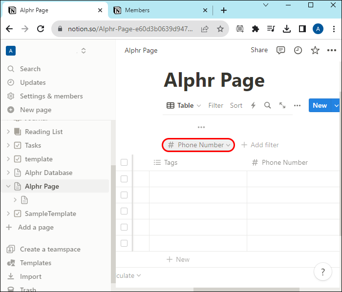 Highlighting the applied filter in Notion