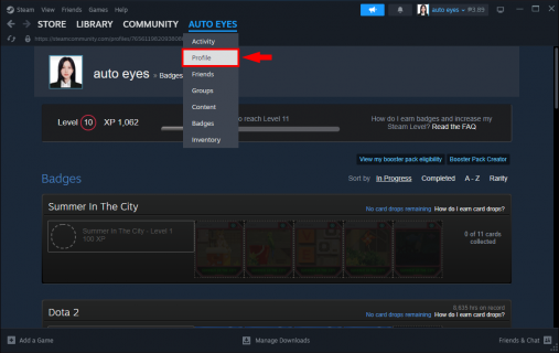 How to Get Levels in Steam