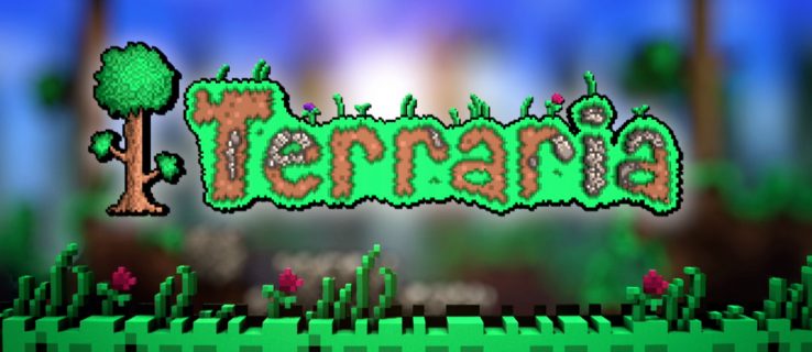 Terraria Cover Image