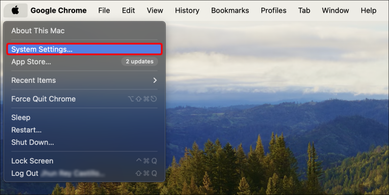 MAKE CHROME MY DEFAULT BROWSER MAC visual data 8