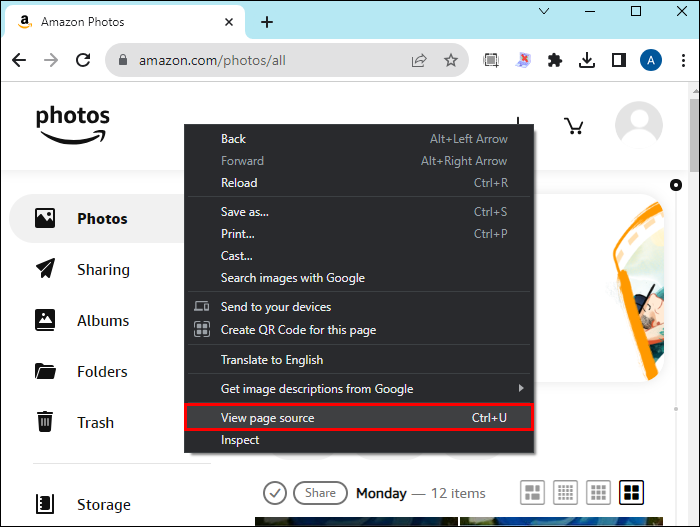 View Page Source option in Google Chrome