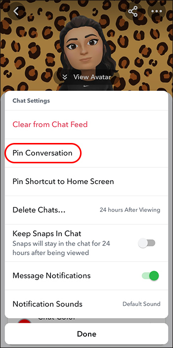 Hitting the Pin Conversation button in the Chat Settings of Snapchat