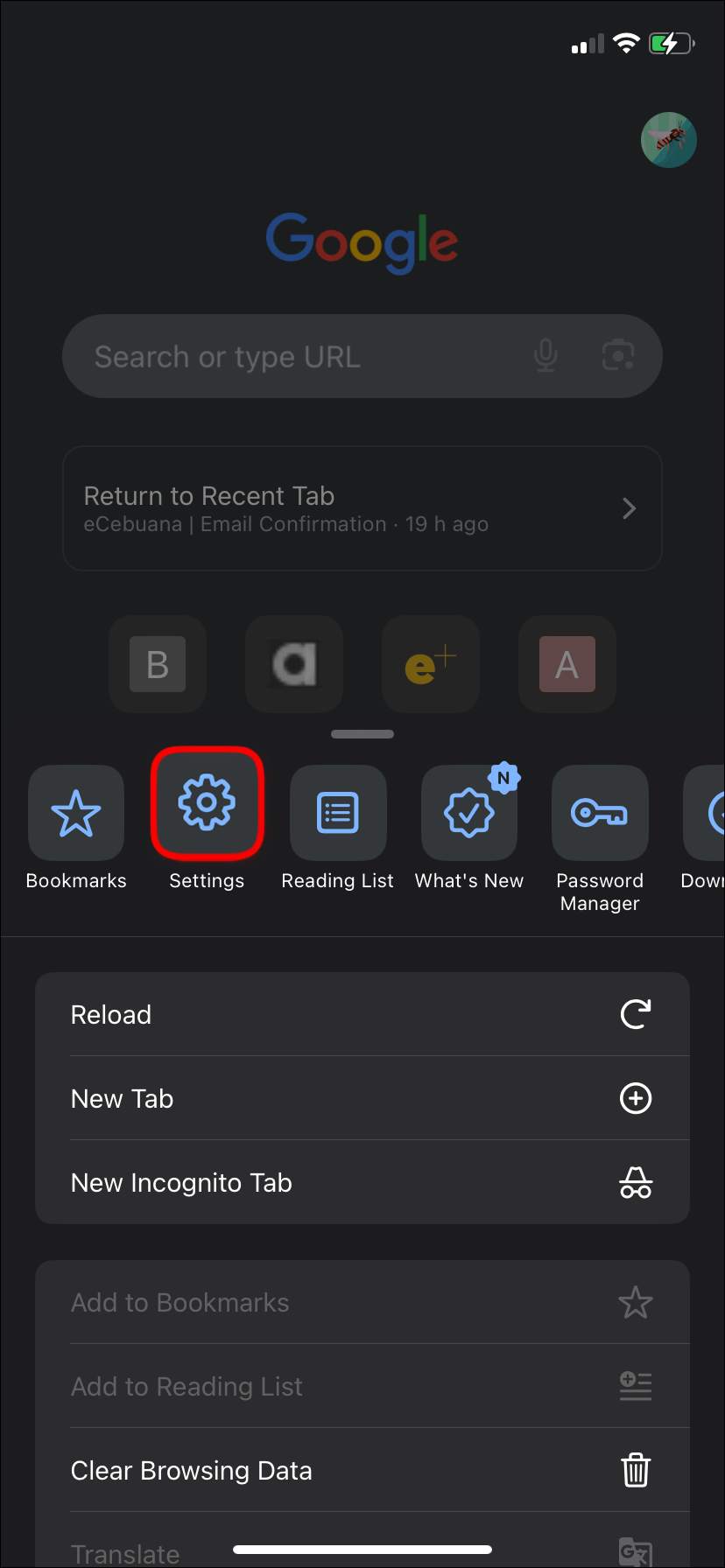 The Google Chrome app settings on iPhone.