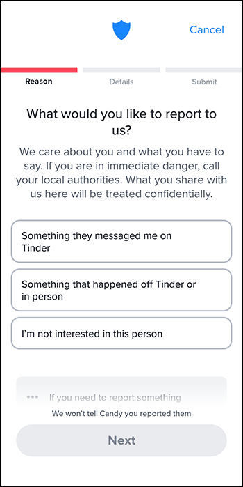 List of reasons why you want to report a Tinder user