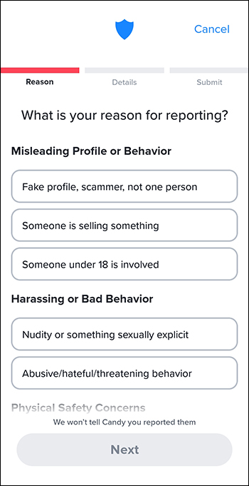 Description of reasons why you would want to report someone on Tinder