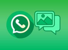 whatsapp ai imic