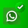 meta verified in whatsapp