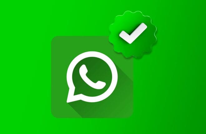 meta verified in whatsapp