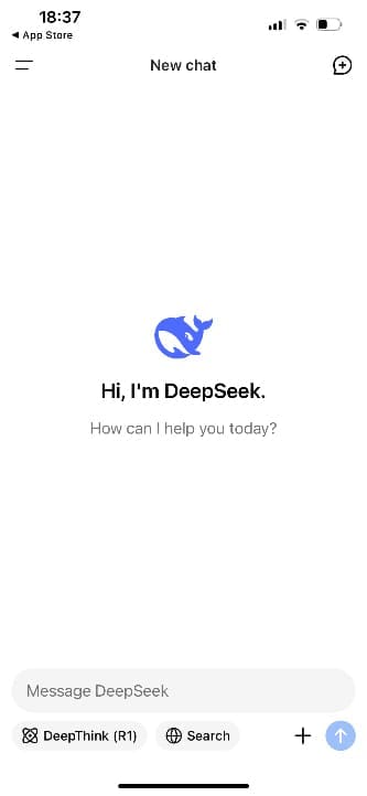 How to Use DeepSeek AI 6