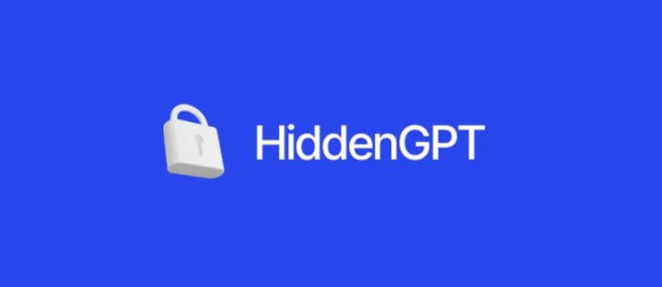 privacy oriented gpt tool