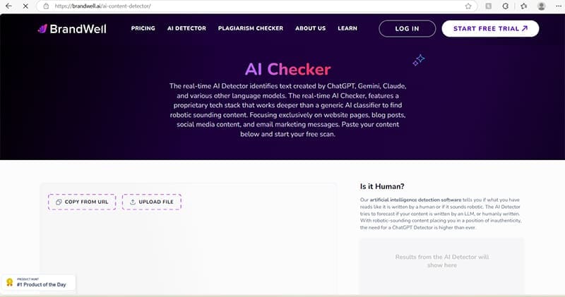 Best AI Content Detectors That Are Accurate 3