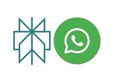 can perplexity ai assist with fact-checking on whatsapp