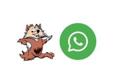 thelio whatsapp ai assistant