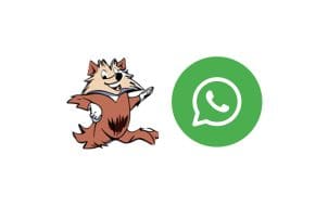 thelio whatsapp ai assistant