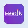 meetily ai review