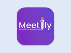 meetily ai review