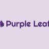 purple leaf ai