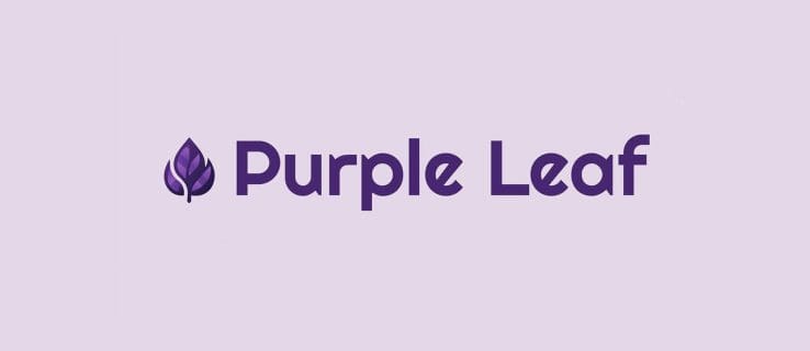 purple leaf ai