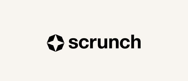 scrunch ai