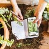 Plant Identification Apps