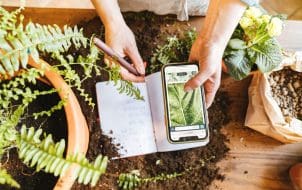 Plant Identification Apps