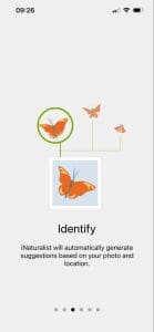 onaturalist