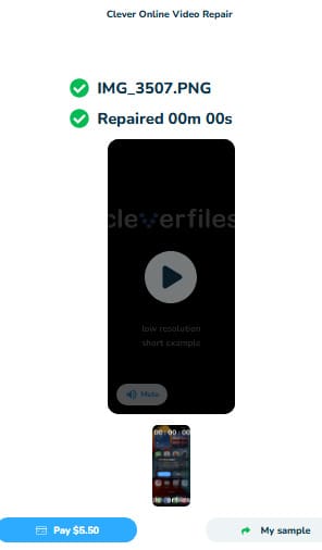 videofilen är skadad